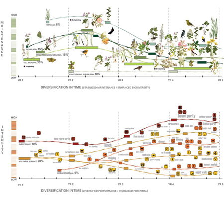 Successional timeline graphics