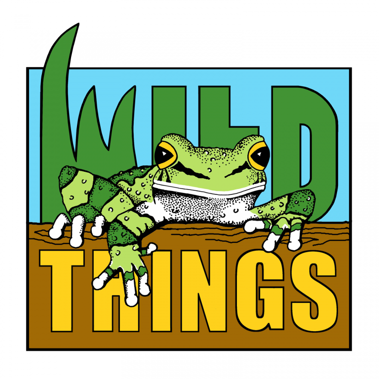 Wild Things Logo